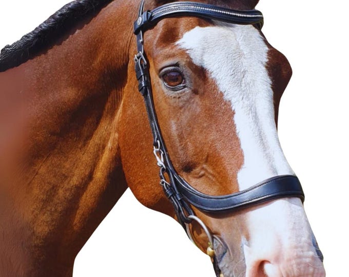 Anatomical Bridle - Verity Bit Lifter for Mouthy / Sensitive Horse ...