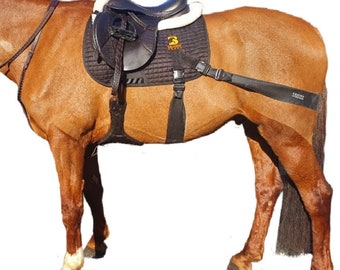 Equine Band Core Trainer Saddle Pad Kit de conversión