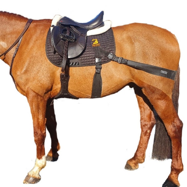 Equine Band Core Trainer Saddle Pad Conversion Kit