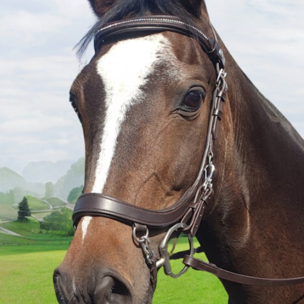 Bridon anatomique Performance Equine Balance avec muserolle combinée avec sangles amovibles pour la protection du flash et de la barre