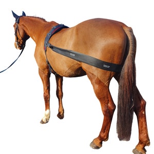 Lunging Band for Horses