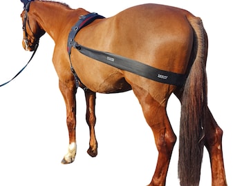 Lunging Band for Horses