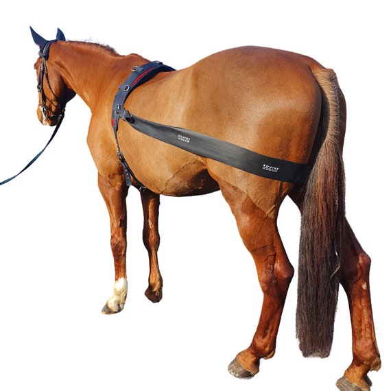 Licol Et Longe Ajustable Pour Cheval - Aide à L'entraînement à La Longe - Neuf