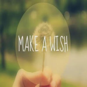Op de afbeelding: Een witte paardenbloem in een cirkelvormig kader, met de tekst "MAKE A WISH" in een strak, wit schreefloos lettertype dat over het midden van de plant is geplaatst tegen een zachte, wazige groen-gele achtergrond.