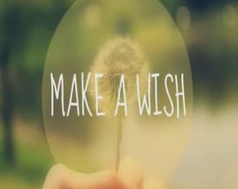 May include: A white dandelion seed head centered within a circular frame, featuring the text "MAKE A WISH" in a clean, white sans-serif font overlaid across the center of the plant against a soft, blurred green and yellow background.