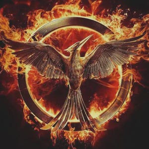 May include: A detailed illustration of a phoenix with outstretched wings, set against a backdrop of flames. The bird is brown and gold, with a circular emblem behind it. The flames are vibrant orange and red.
