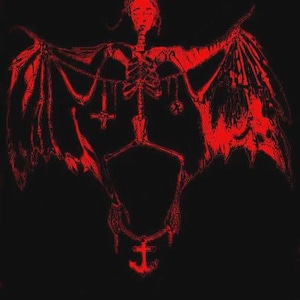 May include: Red and black illustration of a skeletal figure with bat-like wings. The figure has a woman's face and is adorned with pendants, including a cross and an anchor. The artwork is set against a black background, creating a gothic aesthetic.