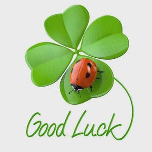 May include: A bright green four-leaf clover with a glossy finish features a small orange ladybug with black spots resting on one of its leaves. Below the clover, the text Good Luck is written in a flowing, cursive green script font.