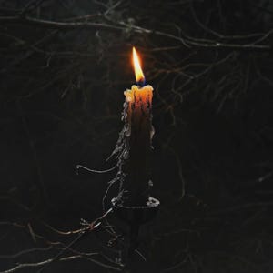 May include: A lit candle with a long, orange flame. The candle is in a black holder and has melted wax dripping down its sides. The background is dark with bare tree branches, creating a moody, gothic aesthetic.
