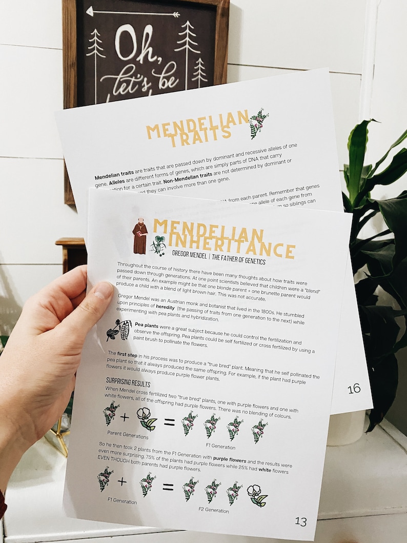 May include: A printable educational poster about Mendelian traits, featuring a cartoon illustration of Gregor Mendel, the father of genetics. The poster explains the concept of dominant and recessive alleles, using pea plants as an example. The poster includes a diagram showing the results of cross-pollination experiments.