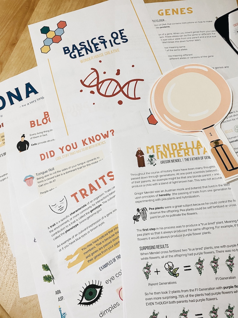 May include: A colorful infographic about the basics of genetics. The infographic includes a diagram of DNA, a tongue roll, a diagram of a pea plant, and a diagram of a human cell. The infographic also includes text about Gregor Mendel, the father of genetics.