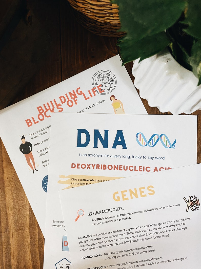 May include: Colorful educational posters about the building blocks of life, DNA, and genes. The posters feature illustrations of cells, a double helix, and a magnifying glass. The text on the posters explains the concepts of DNA and genes in simple terms.