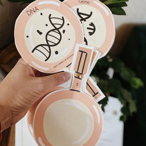 May include: A set of four pink magnifying glasses with illustrations of DNA and a gene. The magnifying glasses have the words "DNA" and "Gene" written on them. The text "DNA makes up chromosomes" is written on one of the magnifying glasses.