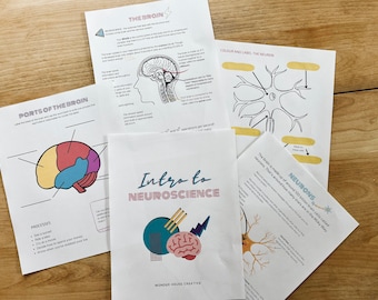 Op de afbeelding: Een set printbare educatieve werkbladen over de hersenen en neurowetenschappen. De werkbladen bevatten diagrammen van de hersenen, neuronen en delen van de hersenen. De werkbladen zijn zwart-wit met kleurrijke illustraties.