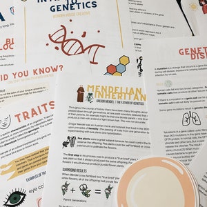 May include: Colourful educational posters about genetics and heredity. The posters feature illustrations of DNA, pea plants, and a human cell. The text includes the terms "Introduction to Genetics", "Mendelian Inheritance", and "Genetic Disorders".