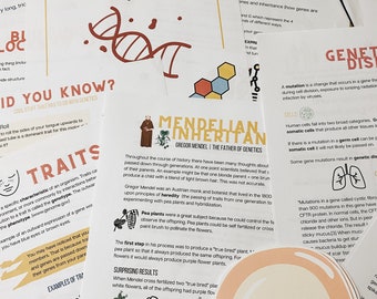 Op de afbeelding: Kleurrijke educatieve posters over genetica en erfelijkheid. De posters bevatten illustraties van DNA, erwtenplanten en een menselijke cel. De tekst bevat de termen "Inleiding tot genetica", "Mendeliaanse erfelijkheid" en "Genetische aandoeningen".