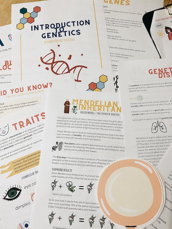 Intro to Genetics Unit, Middle Years Science, High School Science, Homeschool Resource, Digital Download, Genetics, Homeschool Curriculum