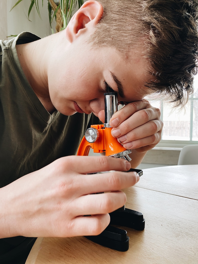 May include: A person looking through the eyepiece of an orange and silver microscope. The microscope is on a wooden table.