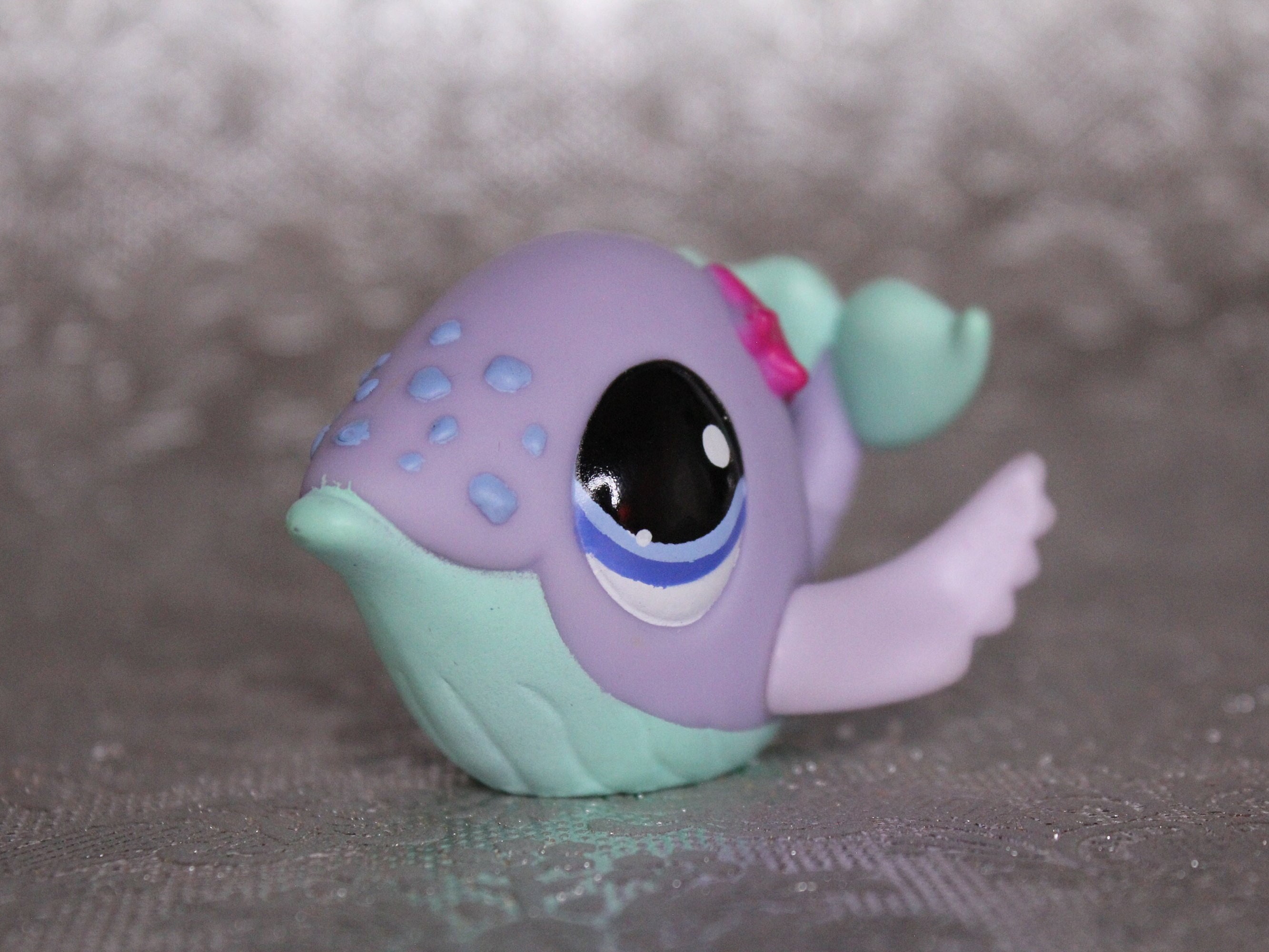 whale littlest pet shop