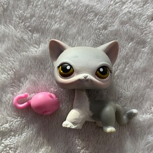 Grey Lps Cats Lps 138 Lps Shorthair Cat Grey LPS Littlest Pet Shop