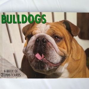 Vintage 1998 Bulldogs Postcard Booklet Contains 21 Different Unused Bulldog Postcards, Never Used Dog Postcard Set