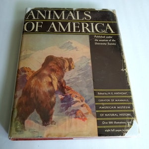 Rare 1937 Edition Animals of America, &quot;Mammals of America&quot; Published Under the Auspices of the University Society, Garden City Publishing Co