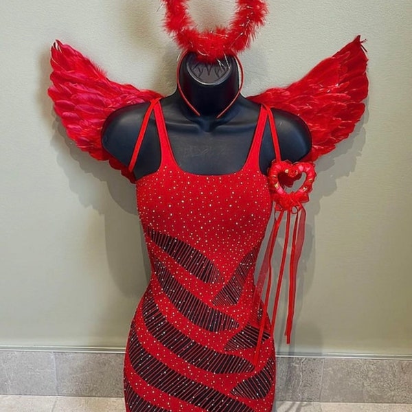 Womens Halloween outfit, Halloween costume, festival outfit, angel wings, halo, fishnet dress, halloween costume, Halloween wings, fancydres