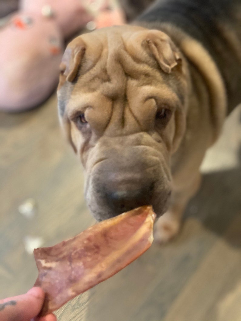 Our 1/2 pigs ears are great for smaller dogs and those that are on a diet.   (Customer photo - Thank you Shannon)