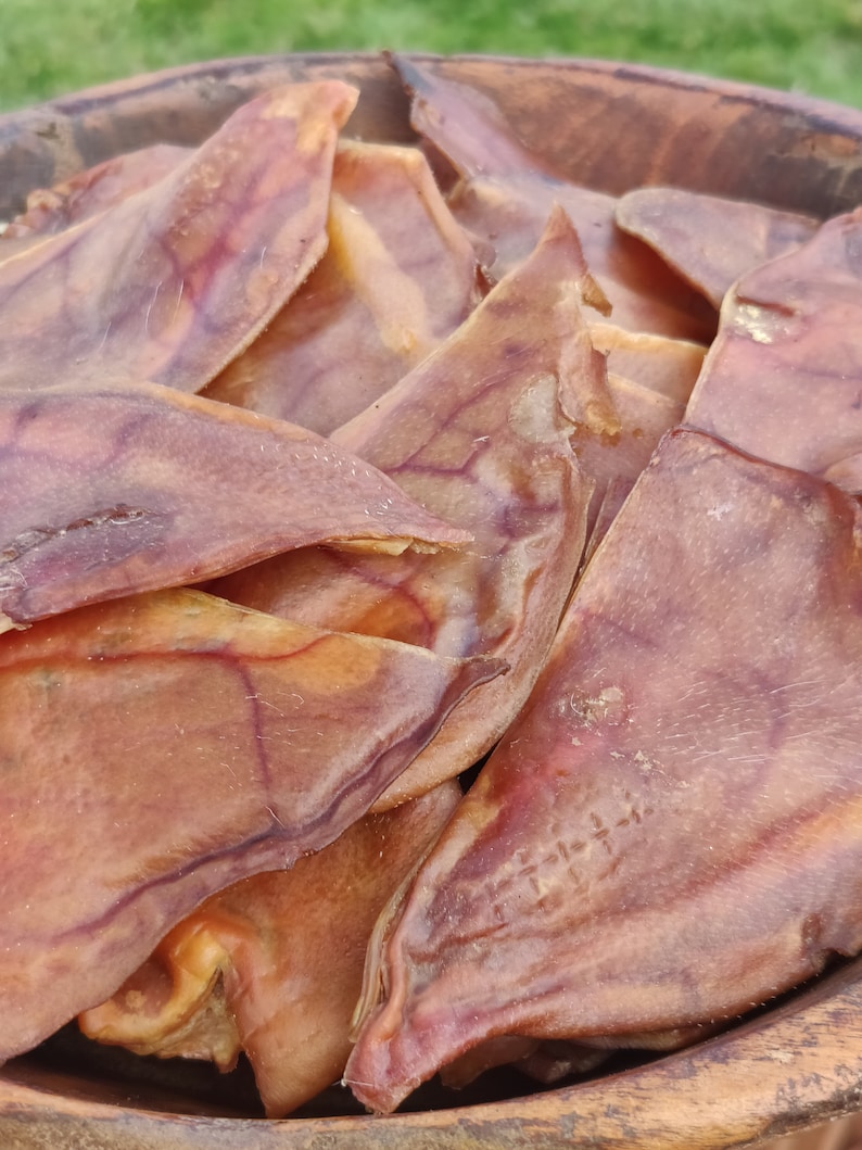 Cinco secciones de media oreja de cerdo deshidratadas, totalmente naturales, para masticar en perros. imagen 1