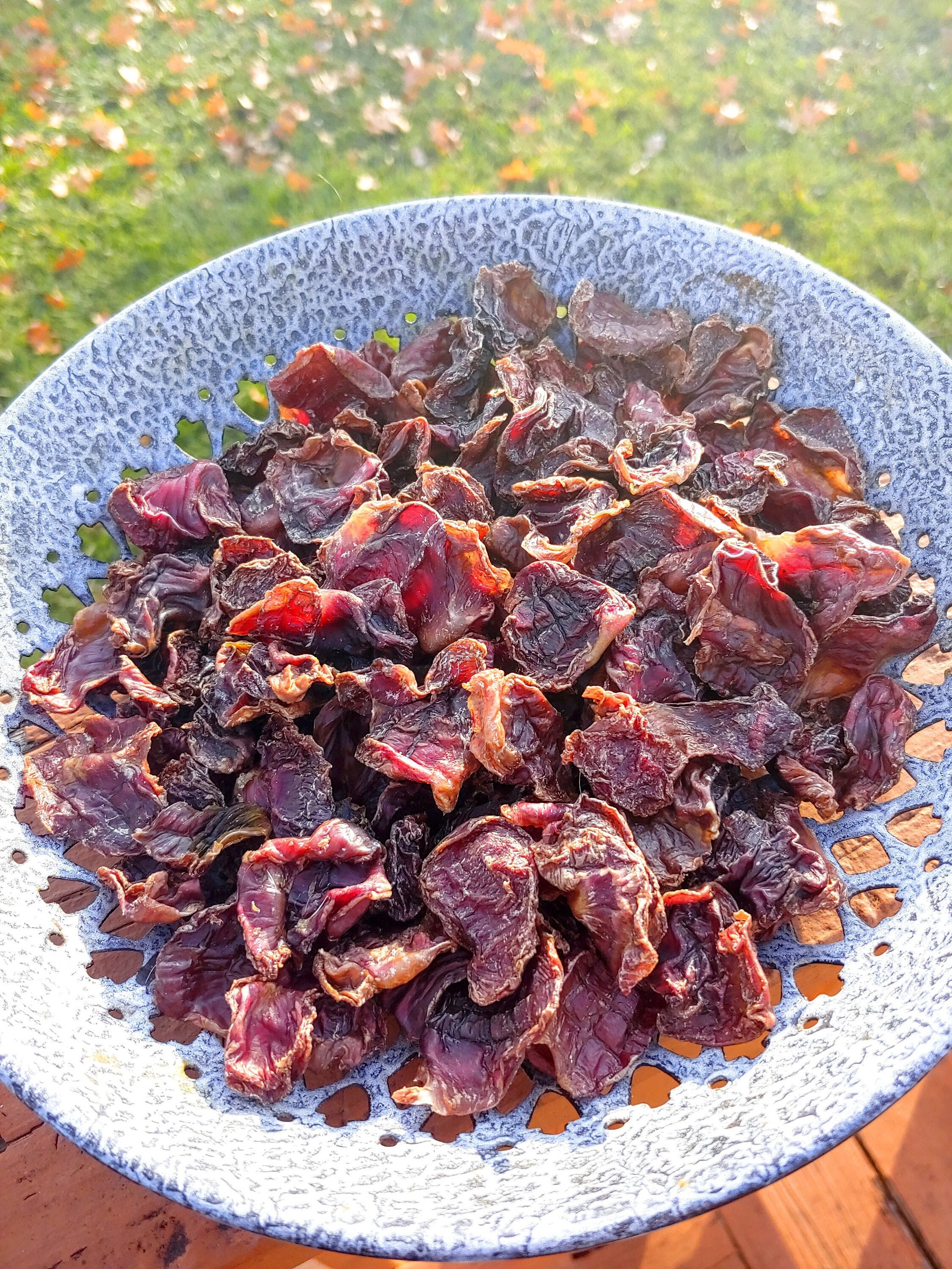 Are Chicken Gizzards Bad For Dogs