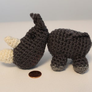 Rebekah the Rhino