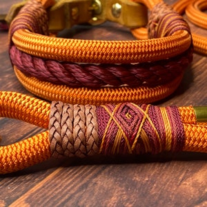 Könnte beinhalten: Nahaufnahme eines Hundehalsbands und einer Leine aus orangefarbenem, braunem und burgunderfarbenem Seil. Das Halsband hat ein geflochtenes Design und die Leine einen goldenen Metallverschluss.