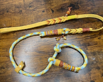 Unique Moxon leash in a wonderful look, yellow, ochre, blue, cognac