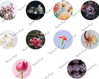 Pack De 60 Images Digitales De Pivoines Rouges - Pour Cabochons Ronds 30, 25, 20 Mm - DIY Floral