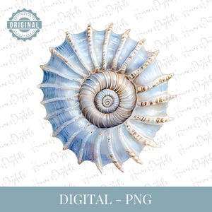 Concha azul en espiral de acuarela - Concha náutica de playa PNG - Arte costero oceánico para decoración y manualidades de verano