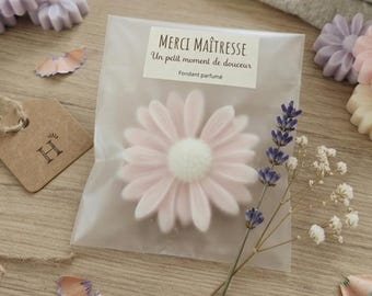 Cialda di cera profumata alla margherita - Profumo di fiore di cotone - Scelta di fragranze - Cera vegetale fatta a mano - Fragranza di Grasse