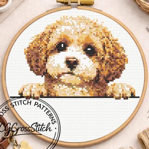 May include: A cross-stitch pattern of a Cavalier King Charles Spaniel dog in a wooden embroidery hoop. The dog is brown and white, with a fluffy appearance. The hoop is set against a white background. The text "Cross Stitch Patterns" and "CG Cross Stitch" are visible.