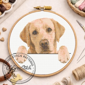 May include: A cross stitch pattern featuring a golden Labrador retriever face and two paws resting on a white border, framed in a circular wooden hoop. The design includes the text CROSS STITCH PATTERNS and CGCrossStitch in black ink.