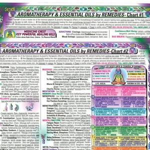 2CHARTS Set: AROMATHERAPY Essential Oils REMEDIES Charts #1 + #2; 2sided, Laminated 8.5x11. Inner Light Rainbow® Series.(Sm Poster/Lg Card)