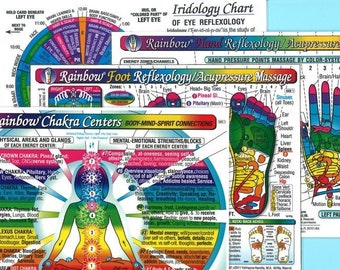 4 Chrt Set: REFLEXOLOGY FOOT+ Hand, CHAKRAS, Eye Reflex. (Iridology). Inner Light Rainbow® Charts. 8.5x11; 2sided Laminatd.Sm Poster/Lg Card