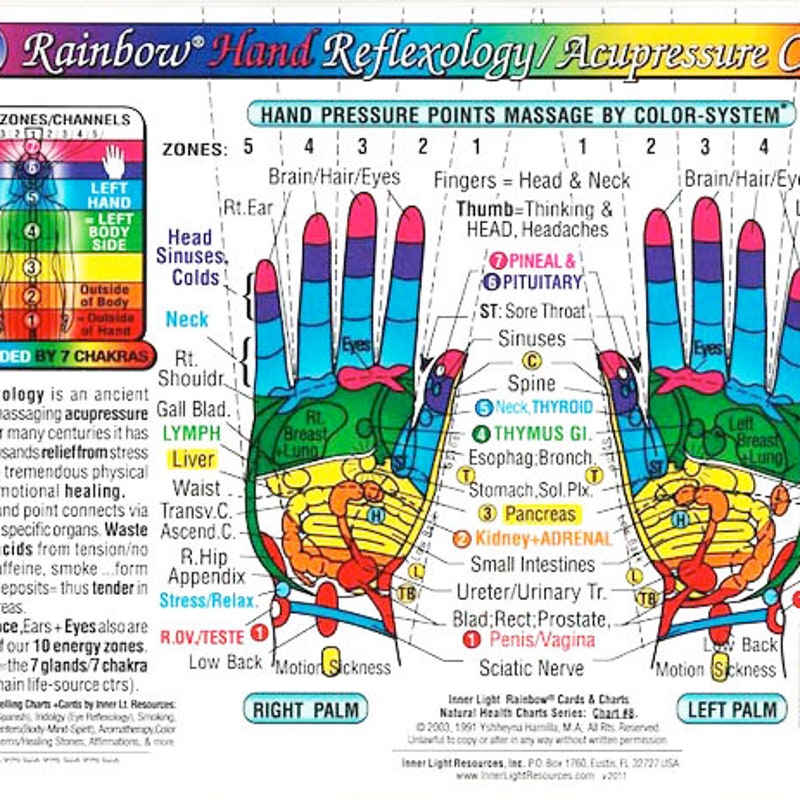 Reflexology Foot Chart Organs Etsy