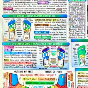 Puede incluir: Un gr&aacute;fico de reflexolog&iacute;a podal colorido con puntos de presi&oacute;n codificados por colores. El gr&aacute;fico incluye diagramas de pies con zonas etiquetadas, texto y una lista de afecciones de salud y sus puntos de reflexolog&iacute;a correspondientes.