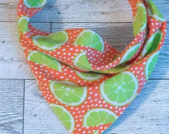 May include: A triangular pet bandana featuring a vibrant orange background with a repeating pattern of white polka dots and bright green lime slices. The fabric is tied at the top, creating a folded, draped shape that hangs in a point at the bottom.