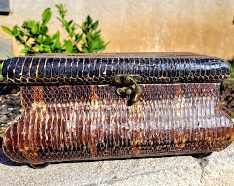 Vintage Real Snakeskin Box Snake Taxidermy Jewelry Keepsake Black Velvet Oddity