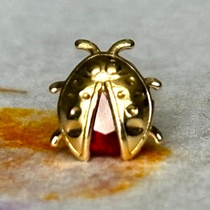Puede incluir: Un dije de mariquita en tono dorado con un acabado metálico pulido, puntos circulares en relieve en las alas y una piedra preciosa roja de forma triangular engastada en la base de las alas, creando un contraste marcado con el metal dorado.