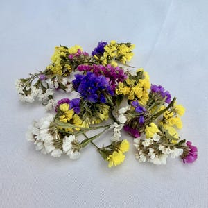 May include: A collection of dried statice flowers featuring clusters of small, papery blooms in vibrant shades of yellow, deep purple, bright blue, and white. The stems are thin and green, supporting the dense, multi-colored floral arrangements.