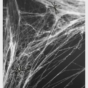 May include: A black and white image featuring two small, dark, multi-legged spider figures positioned within a dense, fibrous, white web-like material. The web strands are stretched across the frame, creating a complex, layered, and textured appearance.