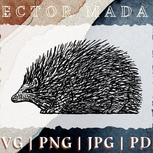 Illustration de hérisson | couper l'image vectorielle de fichier | svg png jpg pdf | Clipart de Machine de découpe Silhouette Cricut | Art personnalisable personnalisé