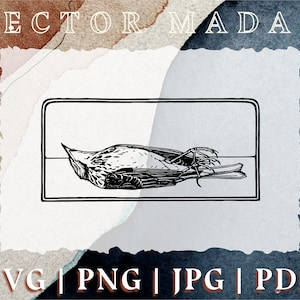 Toter Vogel auf Boden im Rahmen | Vintage Illustration | cut Datei Vektor Bild | svg png jpg pdf | Cricut Silhouette Schneidemaschine
