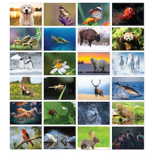 May include: A collage of 20 different animal images, including a golden retriever puppy, a butterfly, a red panda, a polar bear, a deer, a dolphin, a wolf, a rabbit, and hummingbirds.
